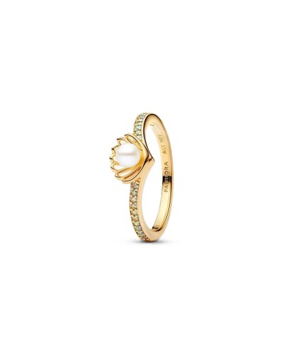 Damenring Pandora 163654C01-50 10 Gold