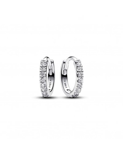 Ladies' Earrings Pandora 293015C01