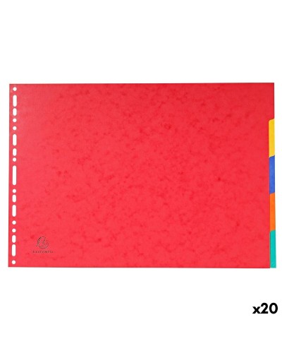 Seperators Exacompta Multicolour A3 (20 Units)