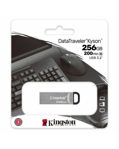 Minnessticka Kingston DTKN/256GB 256 GB USB 3.2 Svart 256 GB