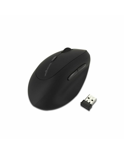Mouse Kensington K79810WW             Black