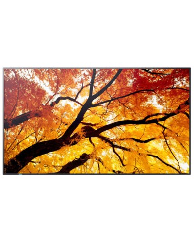 Moniteur Videowall Sharp 60006057 4K Ultra HD 74,5"