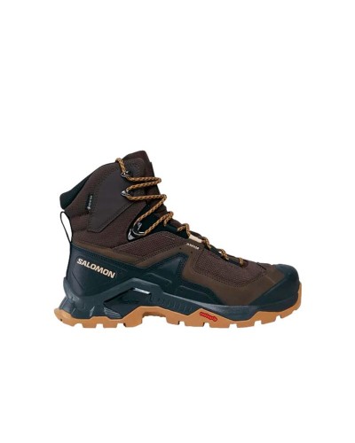 Bottes de montagne Salomon Quest Element Gore-Tex Marron