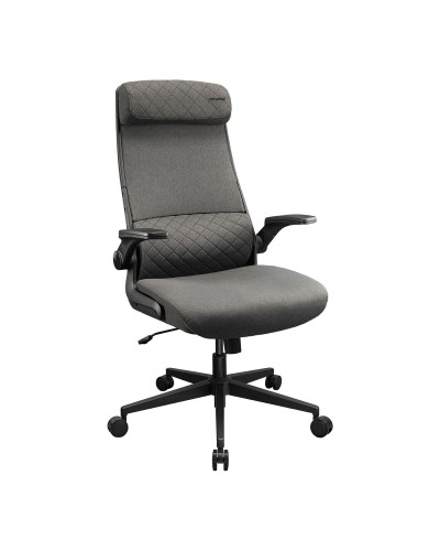 Chaise de jeu Cougar 3MSTDGRB.0001 Noir Gris