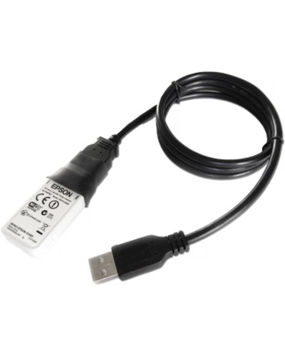 Etichette per Stampante Epson C32C891323 Nero