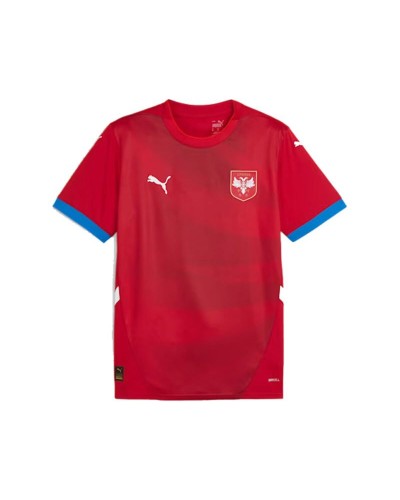 Heren Voetbal T-shirt met Korte Mouwen Puma Serbia 2024