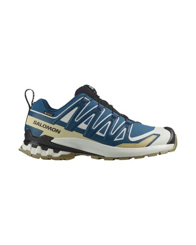 Men's trail running shoes (mountain running) Salomon Xa Pro 3D V9 Gtx Blue