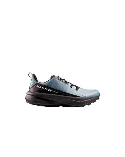 Wandelschoenen voor Heren Mammut Aenergy Hike Low Gtx Blauw