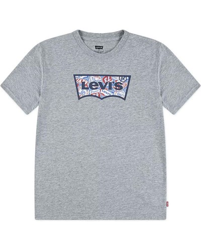 Maglia a Maniche Corte per Bambini Levi's Lvb On The Road Batwing Grigio chiaro