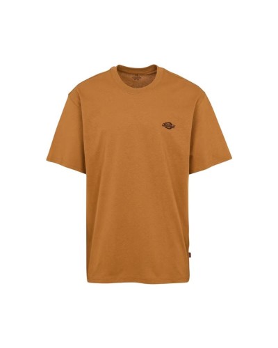 T-shirt med kortärm Herr Dickies Summerdale Ss Ljusbrun