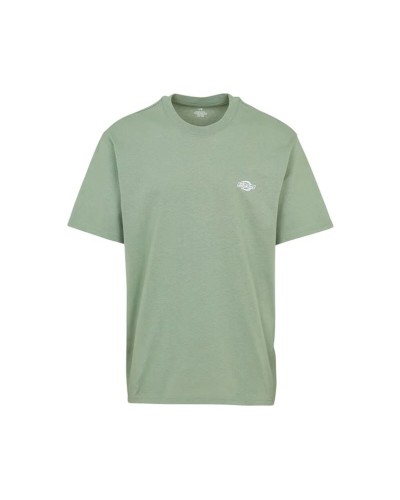 Camiseta de Manga Corta Hombre Dickies Summerdale Aguamarina