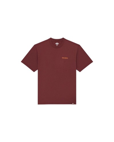 Men’s Short Sleeve T-Shirt Dickies Burns Brown