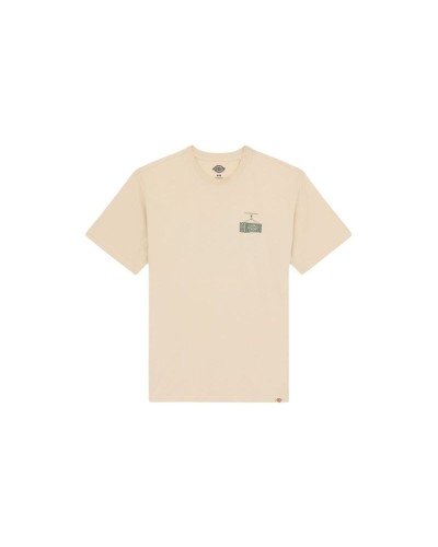 Miesten T-paita Dickies Apison Ss Beige
