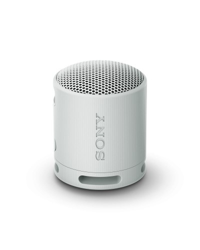 Kannettavat Bluetooth-kaiuttimet Sony SRSXB100H.CE7 Harmaa