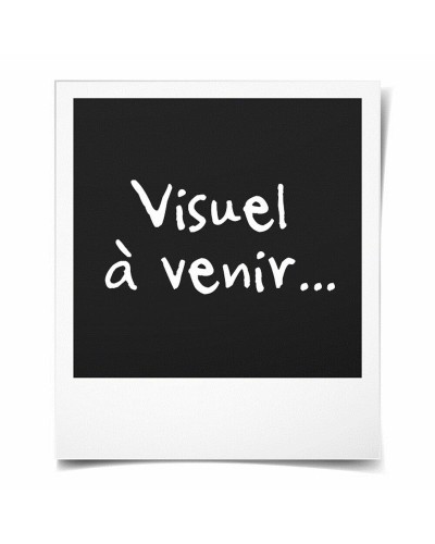 Activiteit armband Casio EFR-S108D-7AVUEF Zilverkleurig