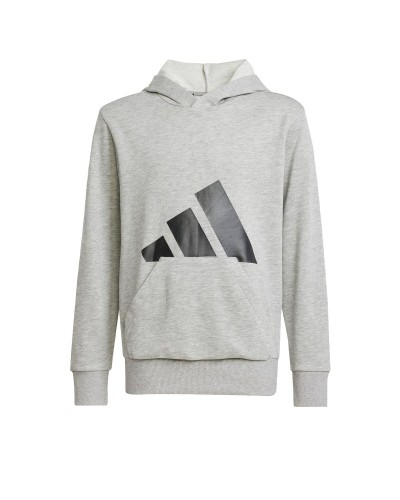 Sweatshirt mit Kapuze für Mädchen Adidas Big Logo French Terry Hd Hellgrau
