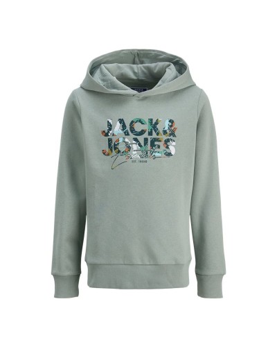 Jungen Sweater mit Kapuze Jack & Jones Jjgeplas Blau grün