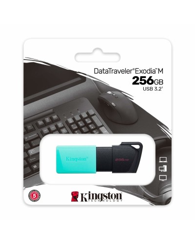 Pendrive Kingston DTXM/256GB Portachiavi Nero Turchese 256 GB