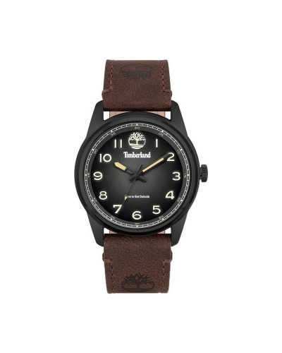 Herrenuhr Timberland TDWGA2152104