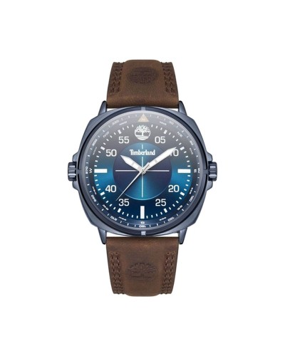 Horloge Heren Timberland TDWGA2132001