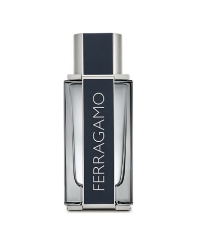 Herenparfum Salvatore Ferragamo FE21006 EDT 100 ml