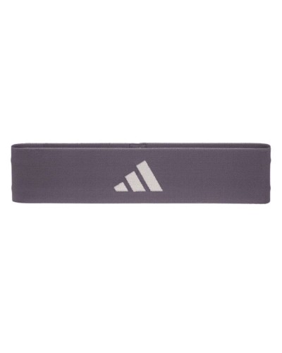 Bandas elásticas de resistencia Adidas ADTB-10704PL-NL Púrpura