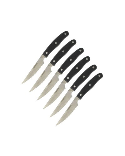 Knivset Nirosta Rostfritt stål 6 Delar