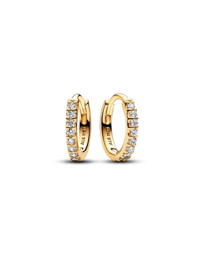 Ladies' Earrings Pandora 263015C01