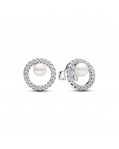 Pendientes Mujer Pandora 293154C01