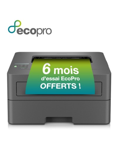 Multifunction Printer Brother HL-L2400DWE