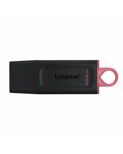 Clé USB Kingston DTX/256GB Porte-clés Noir 256 GB