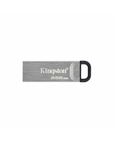 Muistitikku Kingston DTKN/256GB USB 3.2 Hopeinen Musta 256 GB