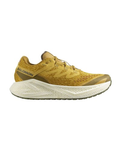 Running Shoes for Adults Salomon Aero Glide 3 Grvl Golden