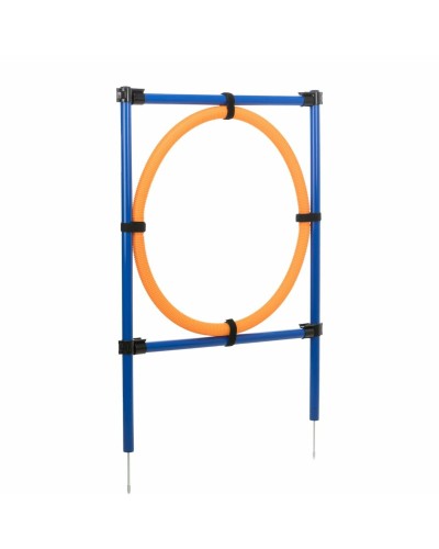 Träningsleksak Trixie