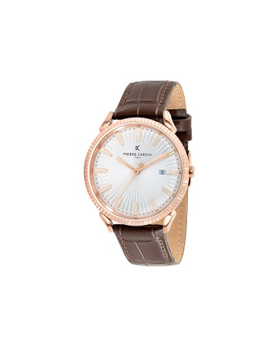 Men's Watch Pierre Cardin CPI.2135 (Ø 42 mm)