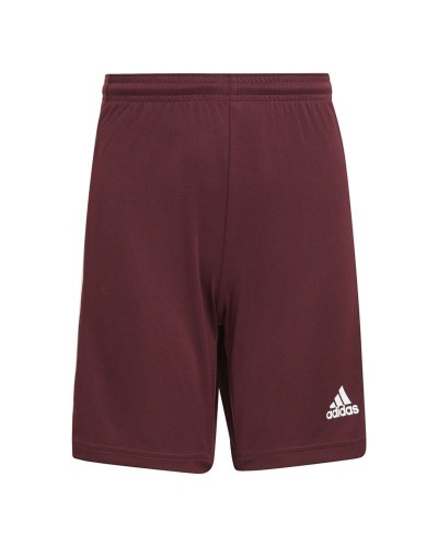 Träningsshorts Adidas Squad 21 Mörkröd
