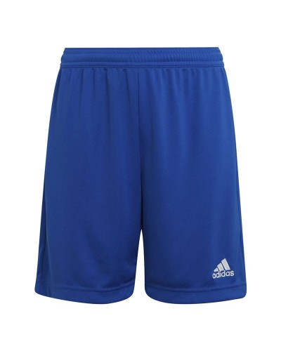 Träningsshorts Adidas Ent22 Y Blå