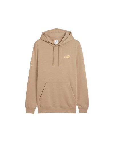 Herren Sweater mit Kapuze Puma Maximal Metallic Beige