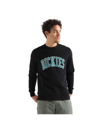 Herren Sweater mit Kapuze Dickies Aitkin Schwarz