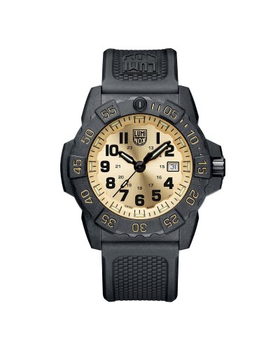 Reloj Hombre Luminox XS.3505.GP.1 Plateado (Ø 45 mm)