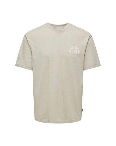 Miesten T-paita Only & Sons Onskylan Rlx Icon Beige