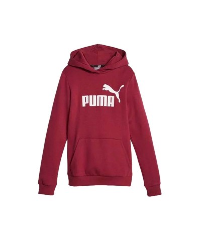 Sudadera con Capucha Niño Puma Ess Marrón