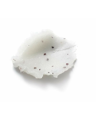 Kroppsskrubb Elemis Frangipani Monoi 490 g