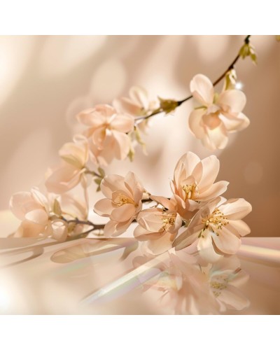 Parfum Unisexe Elie Saab LE PARFUM 30 ml