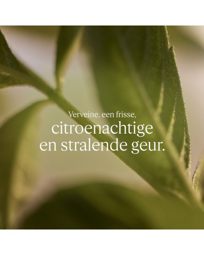 Douchegel L'Occitane En Provence KARITÉ CONFORT 500 ml