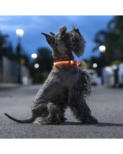 LED-halsband för husdjur Petlux InnovaGoods