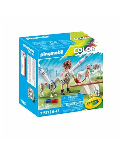 Playset Playmobil 71517 17 Stücke