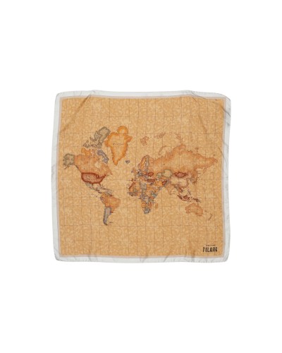 Alviero Martini Prima Classe  Women Scarve