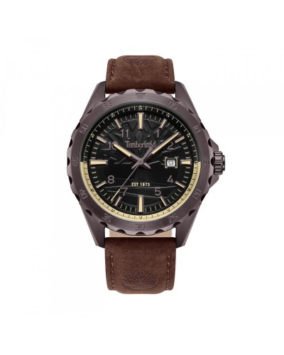 Miesten rannekellot Timberland TDWGB0055802