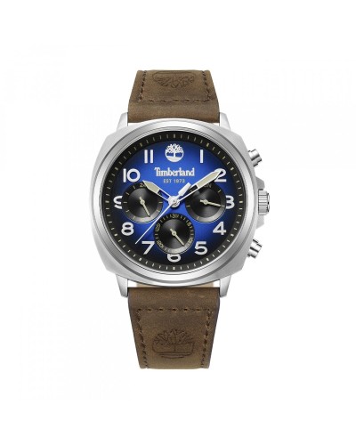 Montre Homme Timberland TDWGB0042007